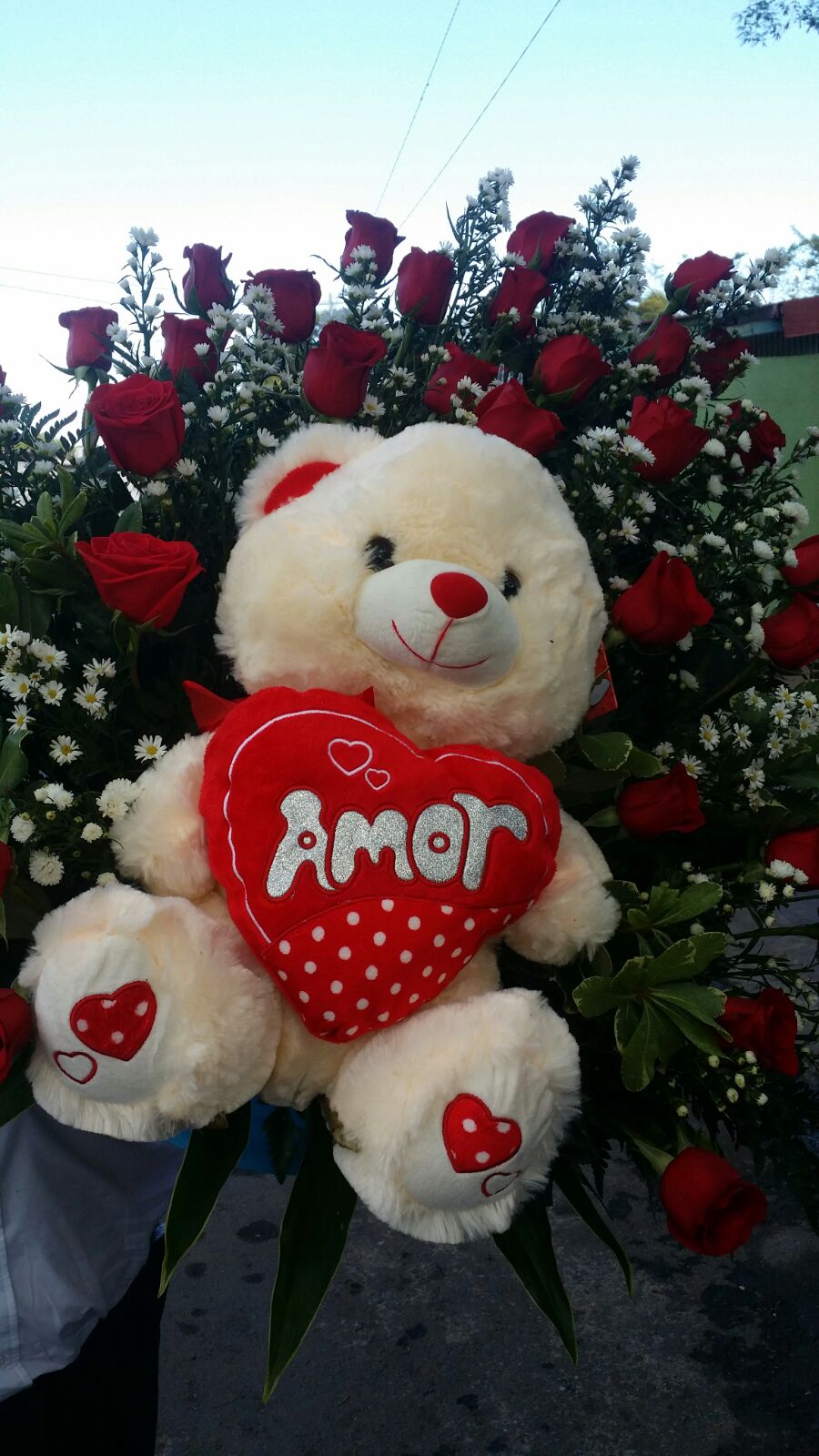 sanvalentin3