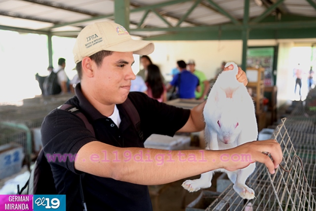 tecnico29mar2