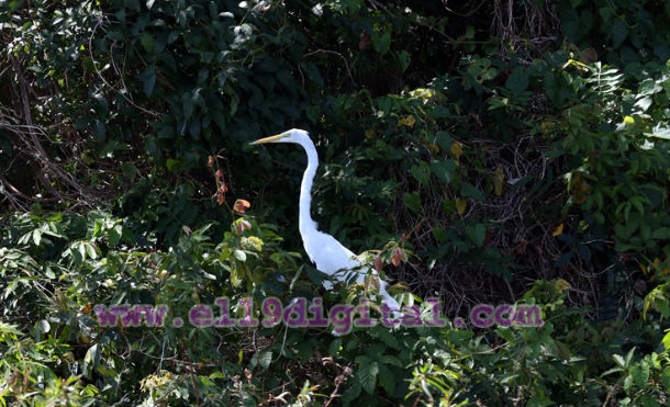 turismo lago cocibolca 3