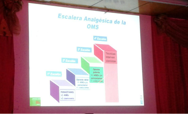 jornada bertha3