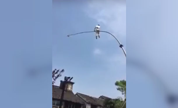 Cuando el público se había congregado para ver una demostración de acrobacia sobre una gran caña de bambú de unos 8 metros de altura, nadie podía presagiar el triste final que iba a tener la exhibición.