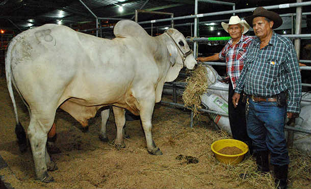 arranca-xi-feria-nacional-agropecuaria-chontales