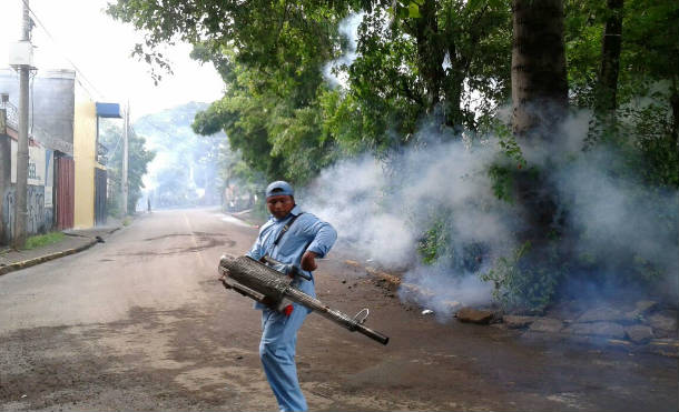 Periodo lluvioso podría intensificar proliferación de mosquitos