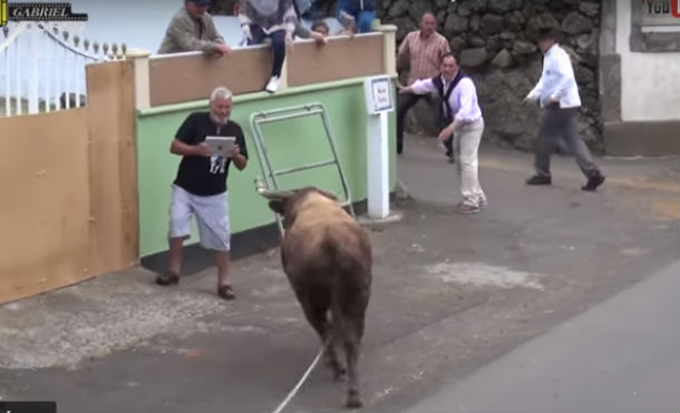 Quería grabar un encierro con su iPad, pero un toro bravo no se lo permitió