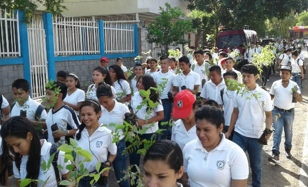 MINED realiza jornada de arborización en Cerro Mokorón