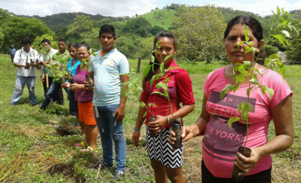 En Chinandega realizan el lanzamiento del programa "Cortinas Rompevientos"