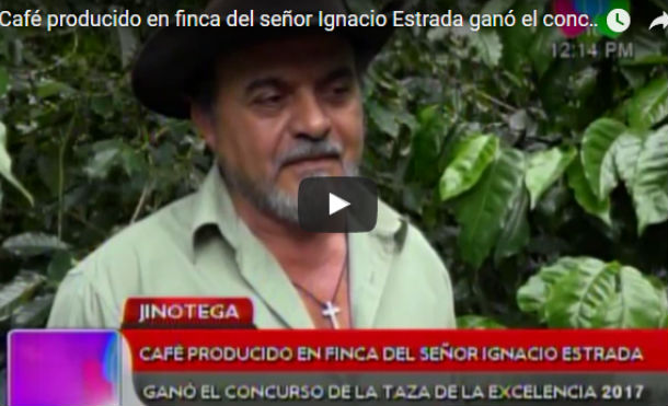 Café producido en finca del señor Ignacio Estrada ganó el concurso de la taza de la excelencia 2017