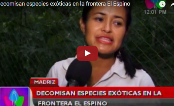 Decomisan especies exóticas en la frontera El Espino