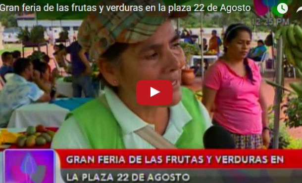 Gran feria de las frutas y verduras en la plaza 22 de Agosto