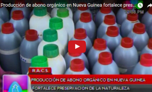 Producción de abono orgánico en Nueva Guinea fortalece preservación de la naturaleza