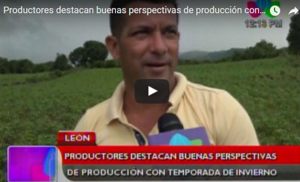 Productores destacan buenas perspectivas de producción con temporada de invierno