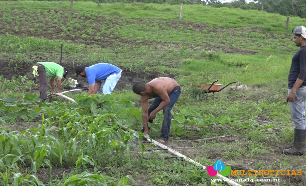 Ministerio de Economía Familiar instala sistema de riego en San Juan del Sur