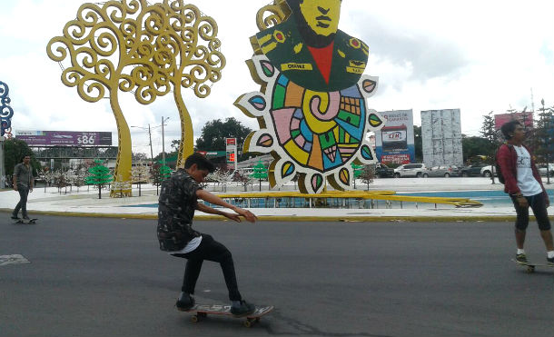 skatebordindia2