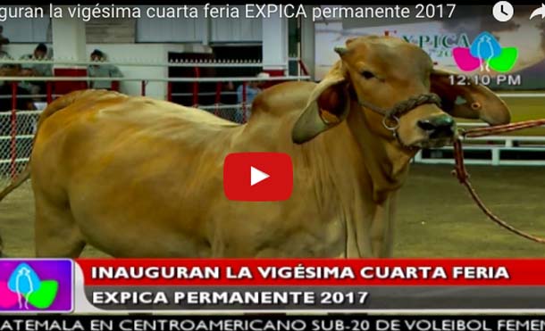 Inauguran la vigésima cuarta Feria Expica permanente 2017