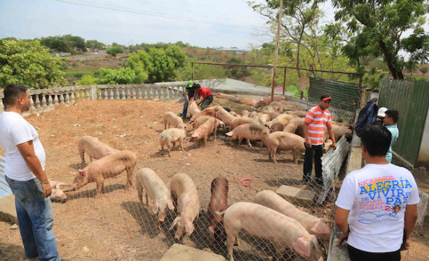 Mefcca Lanza el bono comercial del Programa Productivo Alimentario en Nindirí