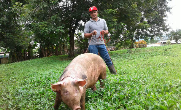 Nueva Guinea: Familias de Zelaya Central reciben Bono Productivo Alimentario