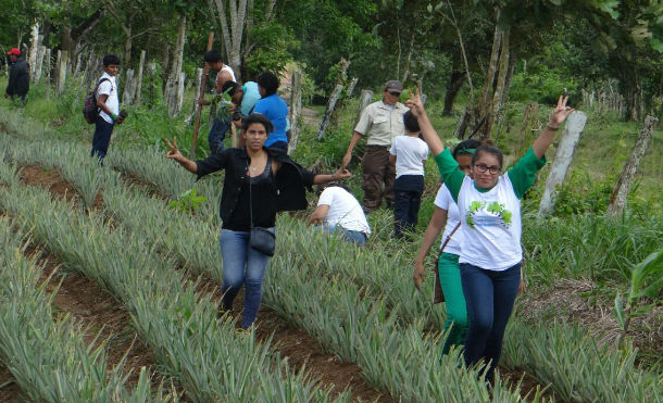 Nueva Guinea: Inafor y movimientos ambientalistas realizan caminata ecológica