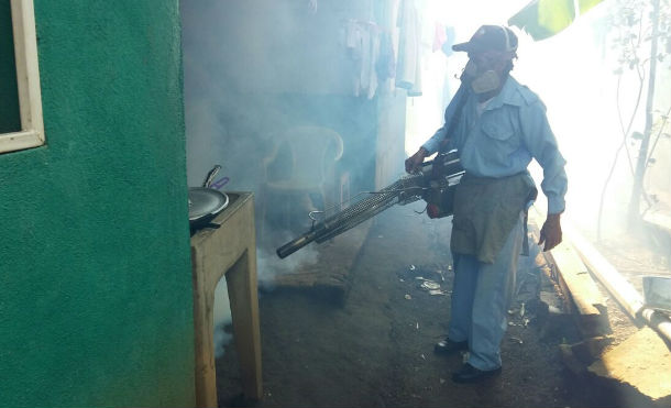 Combaten a zancudos con fumigación en barrio Casimiro Sotelo