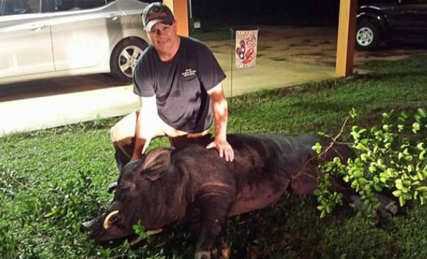 Mató a un jabalí de 372 kilos que apareció en la puerta de su casa