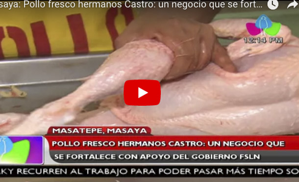 Masaya: Pollo Fresco Hermanos Castro: un negocio que se fortalece con apoyo del Gobierno del FSLN