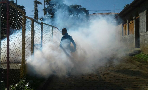 Ministerio de Salud continúa con atacando al mosquito transmisor de enfermedades