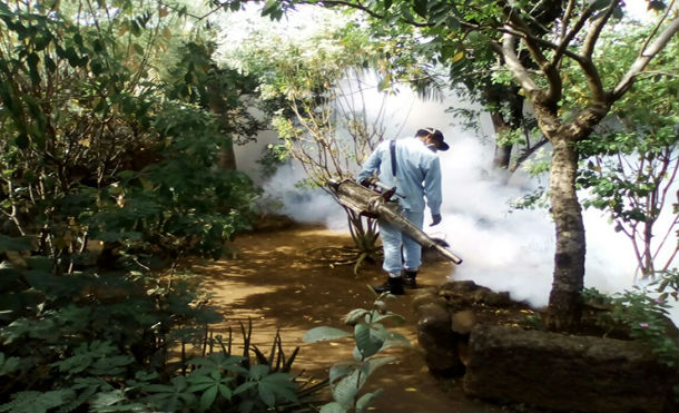 Fumigación y concientización en el barrio San Luis