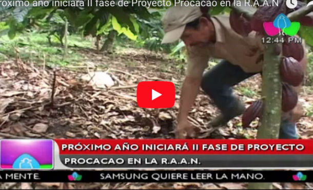 Próximo año iniciará II fase de Proyecto Procacao en la R.A.A.N