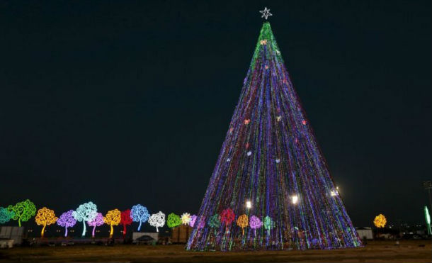 El árbol de Navidad, símbolo de unidad familiar