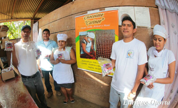 Producción de cacao avanza positivamente en El Caribe