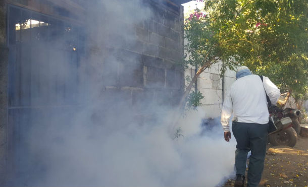 Viviendas del barrio Jericó fueron fumigadas por brigadistas del Minsa