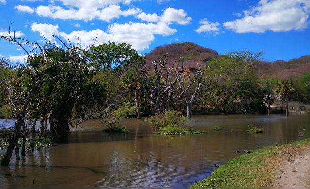 cervantesreserva6