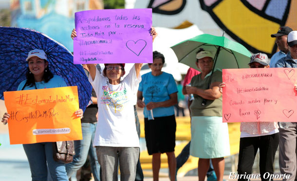 Juventud Sandinista convoca a caminatas por #AMORANICARAGUA