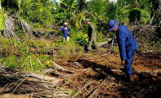 Fuego en Indio Maíz se está sitiando con rondas a punta de machete