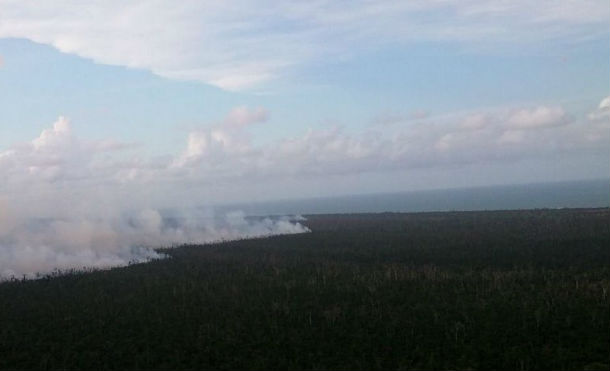 Ejército informa que incendio en Indio Maíz no ha avanzado y continúan labores