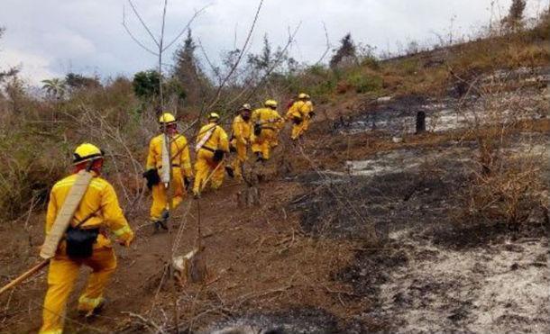 Unas 2.000 hectáreas de bosques se han incendiado en Guatemala