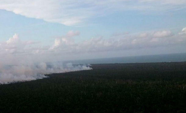 Compañera Rosario presenta informe sobre acciones del Ejército de Nicaragua para combatir incendio en Reserva Biológica Indio Maíz