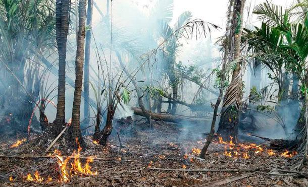 Ejército establece zona de seguridad en zona afectada por incendio en Indio Maíz