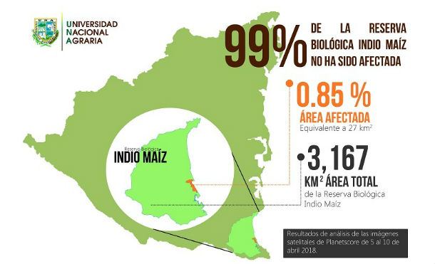 99 % DE INDIO MAÍZ SIGUE INTACTA