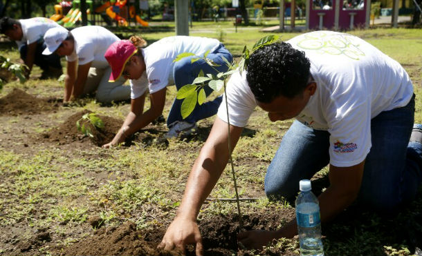 Foto Archivo / Presentan Plan de Reforestación con incremento de 200% en relación al 2017