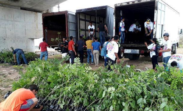 JS19J en Río San Juan descarga camiones con plantas que serán enviadas a Indio Maíz