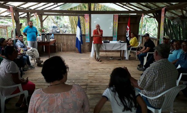 Matagalpa: Gobierno Sandinista impulsa la siembra de bambú en El Tuma – La Dalia y Rancho Grande