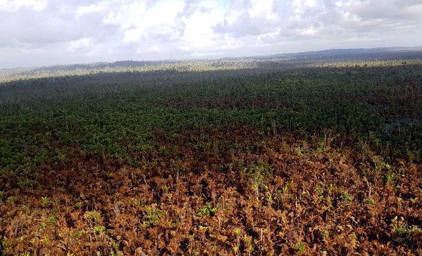 Exploración aérea revela que no hay foco de fuego en Indio Maíz