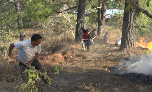 Nueva Segovia: Se registra incendio en bosque de pino en el cerro “La Cruz”, en Dipilto