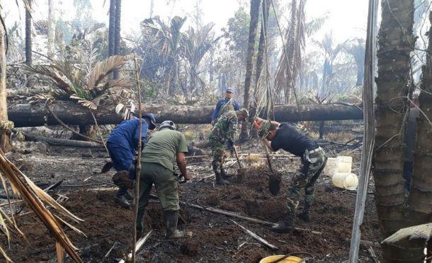 Ejército de Nicaragua despliega unidades para el combate y control del incendio en Reserva Indio Maíz