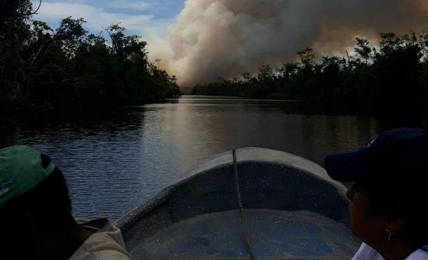 Compañera Rosario informa sobre incendio de la reserva natural Indio Maíz