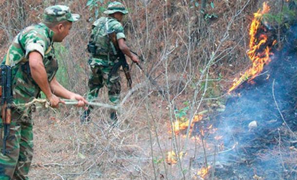 Sinapred actualiza planes de prevención de incendios agropecuarios