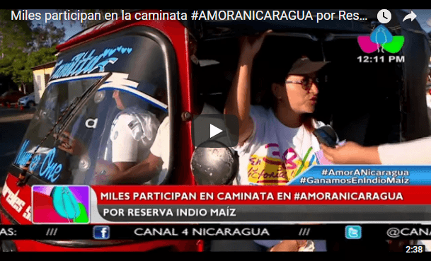 Miles participan en la caminata #AMORANICARAGUA por Reserva Indio Maíz