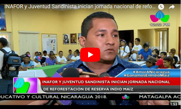 INAFOR y Juventud Sandinista inician jornada nacional de reforestación de Reserva Indio Maíz