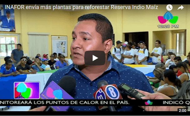 INAFOR envía más plantas para reforestar Reserva Indio Maíz