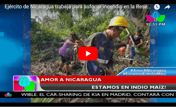 Ejército de Nicaragua trabaja para sofocar incendio en la Reserva Indio Maíz